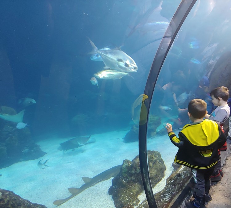 Downtown Aquarium (Denver,&nbspCO)